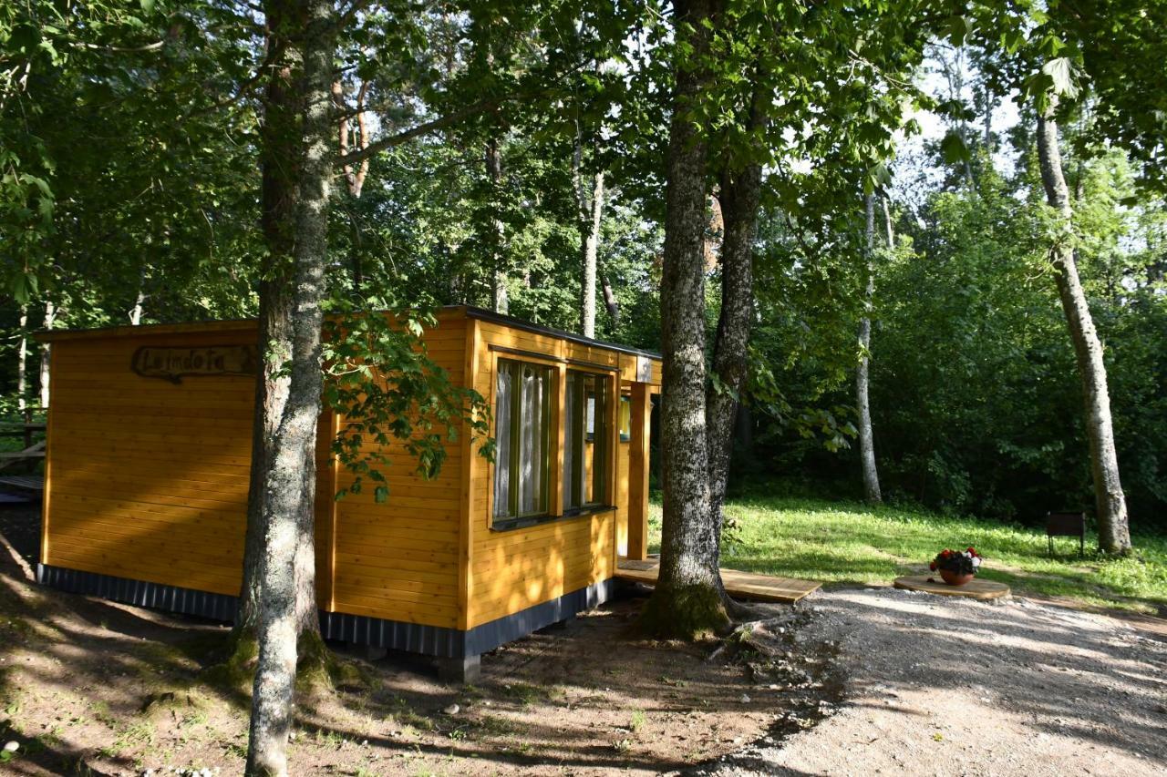 Kempings Ezerpriedes Burtnieki (Burtnieki) Exterior foto