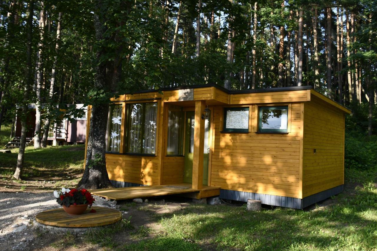Kempings Ezerpriedes Burtnieki (Burtnieki) Exterior foto